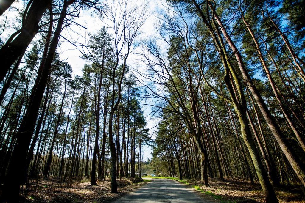 Berezecki Family Villa Karwienskie Bloto Drugie Exteriör bild